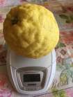 Citrus od p Hrochové
